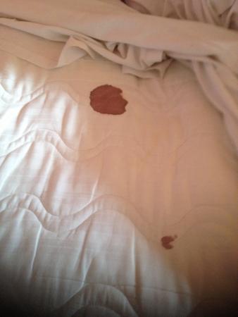 this-stain-of-menstrual